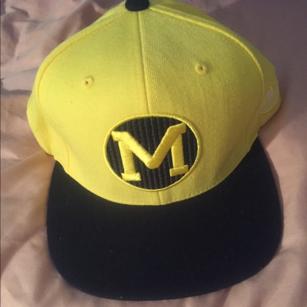 Michigan hat
